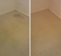 Lush Carpet and Upholstery Cleaning 355257 Image 6